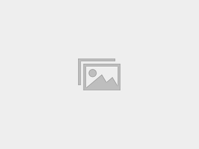 2026 Mid Term Test